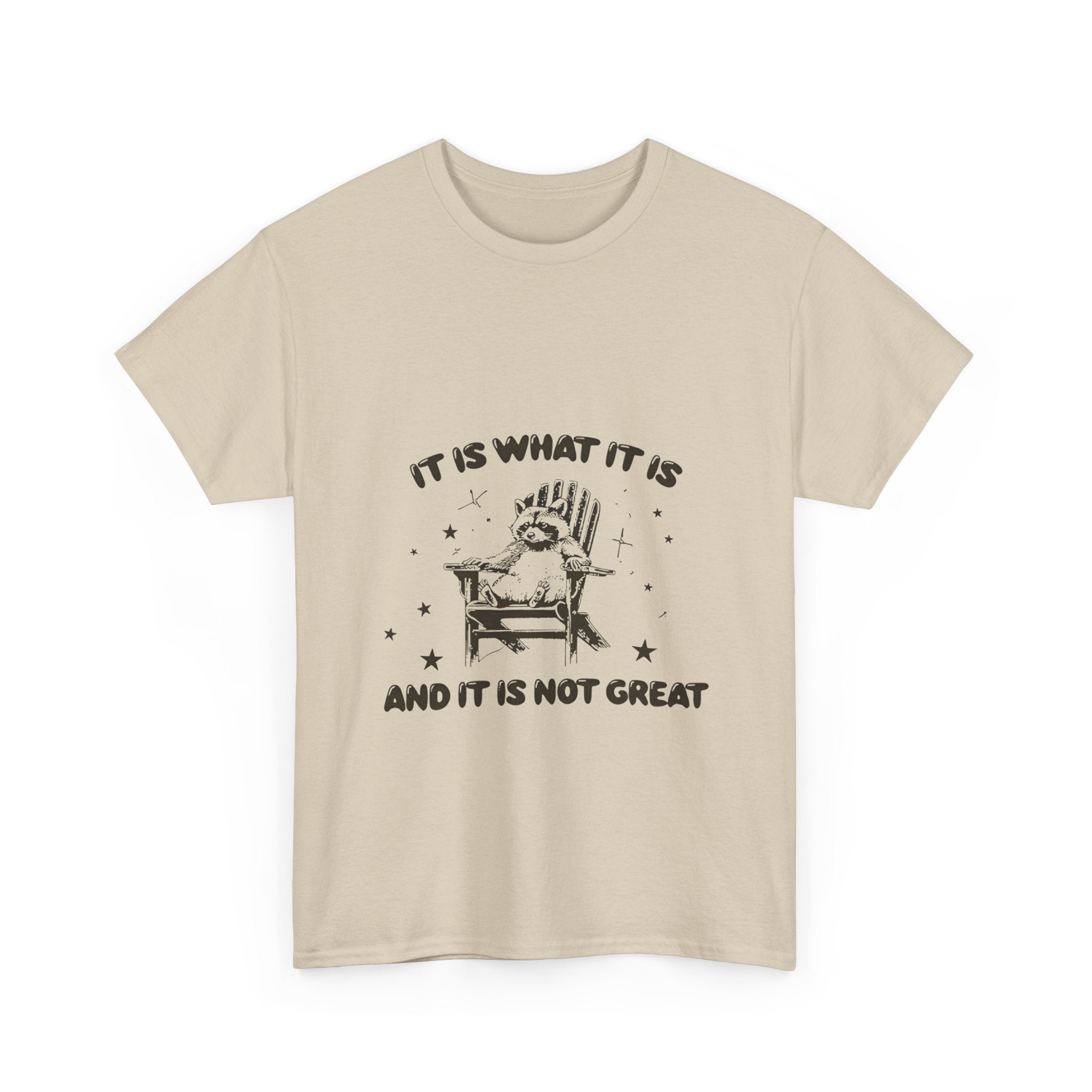 it is what it is and it is not great