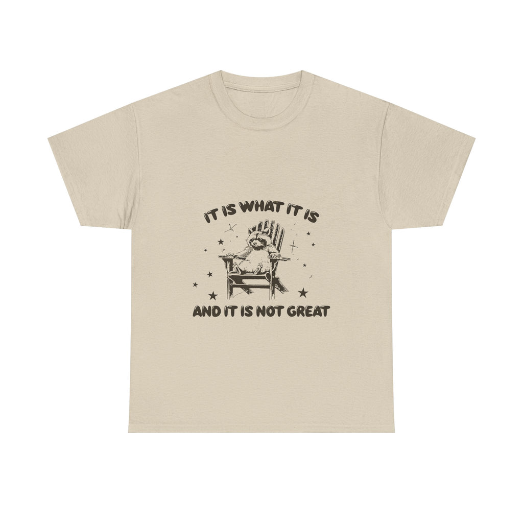 it is what it is and it is not great