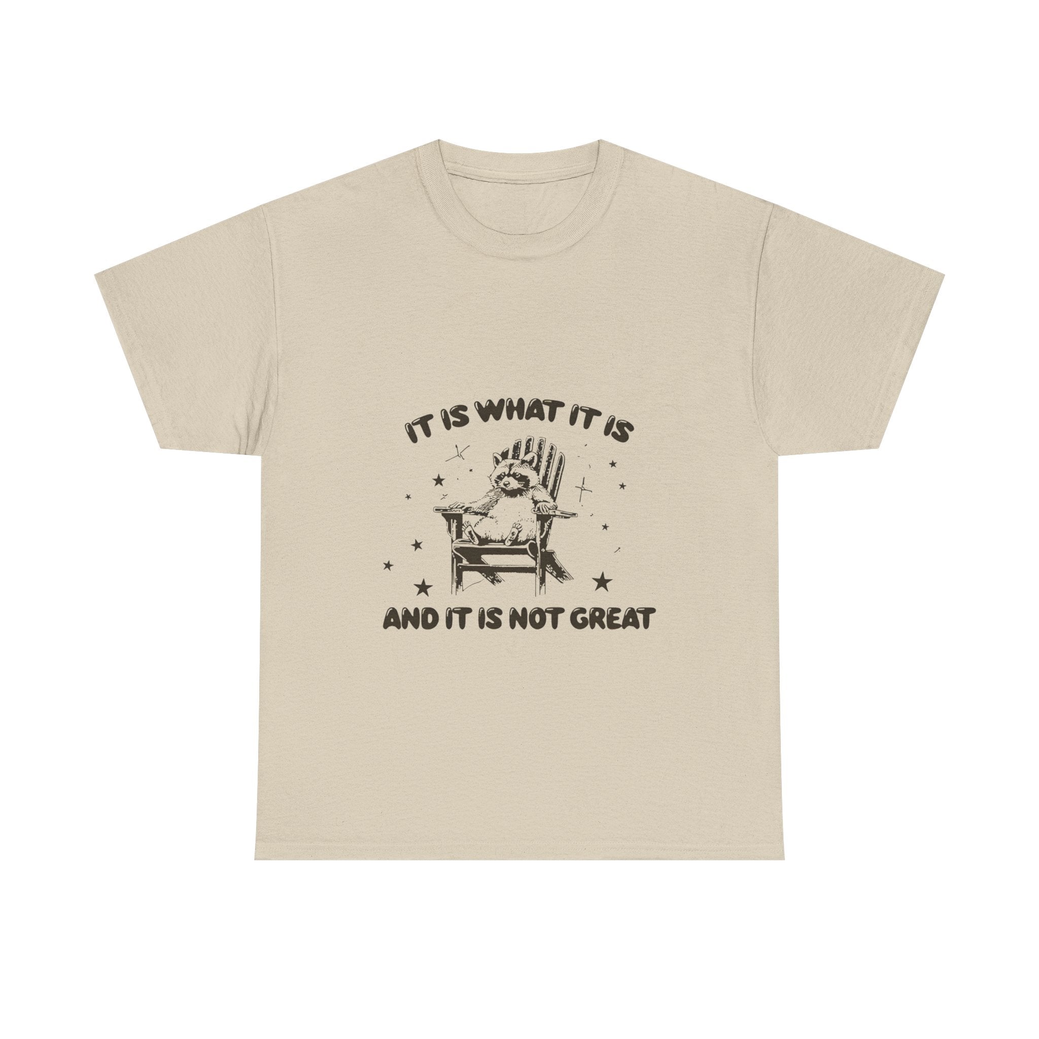 it is what it is and it is not great